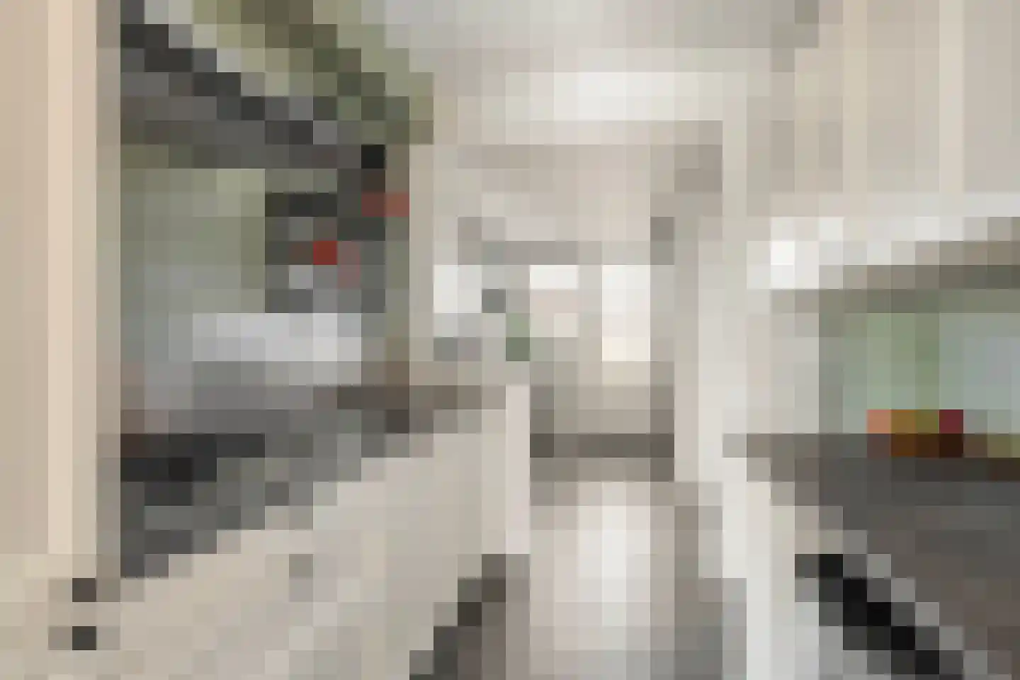 Achterstraat 6 Poortvliet thumbnail 18