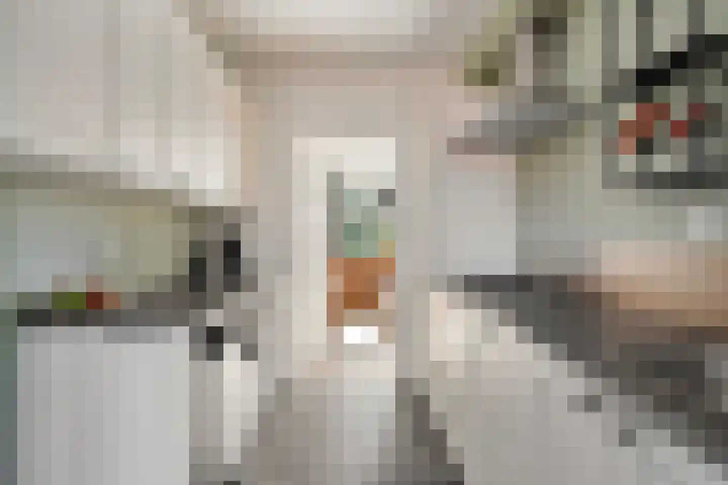 Achterstraat 6 Poortvliet thumbnail 20