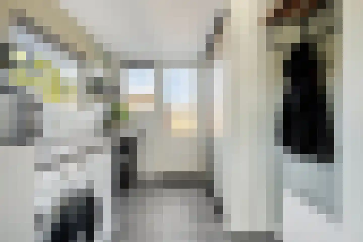 Achterstraat 6 Poortvliet thumbnail 21
