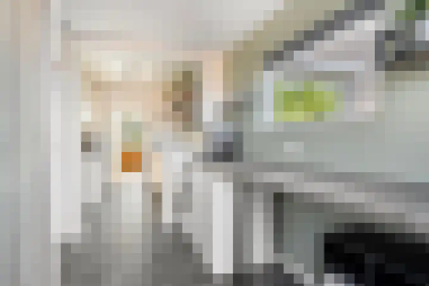Achterstraat 6 Poortvliet thumbnail 22