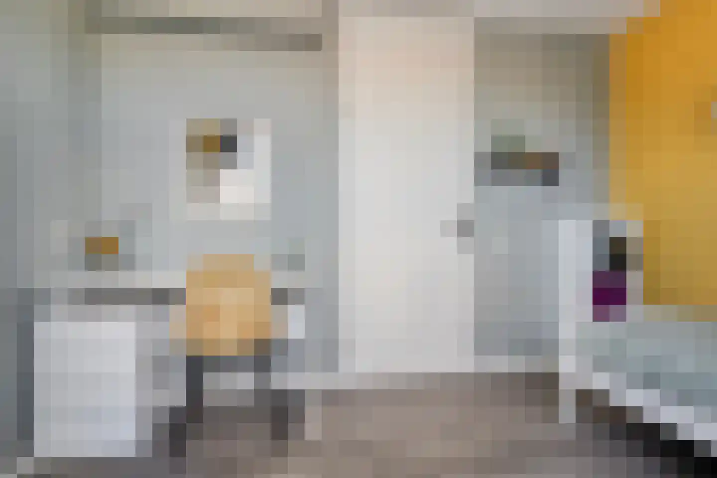 Achterstraat 6 Poortvliet thumbnail 32