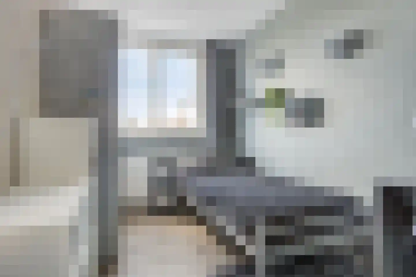 Achterstraat 6 Poortvliet thumbnail 34
