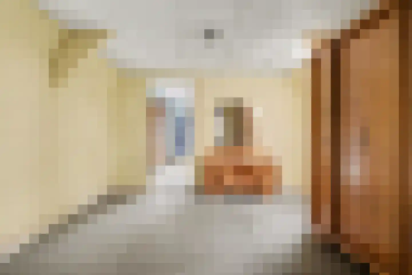 Achterstraat 6 Putte thumbnail 22