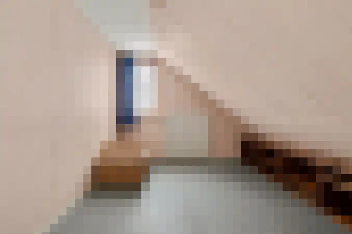 Achterstraat 6 Putte thumbnail 24