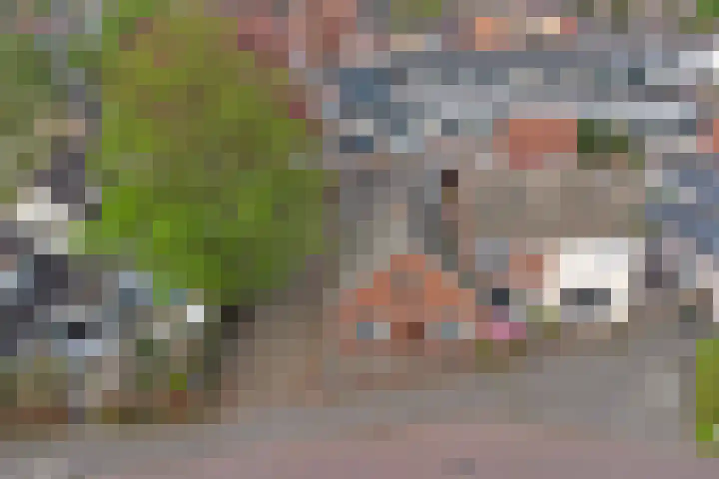Achterstraat 6 Putte thumbnail 36
