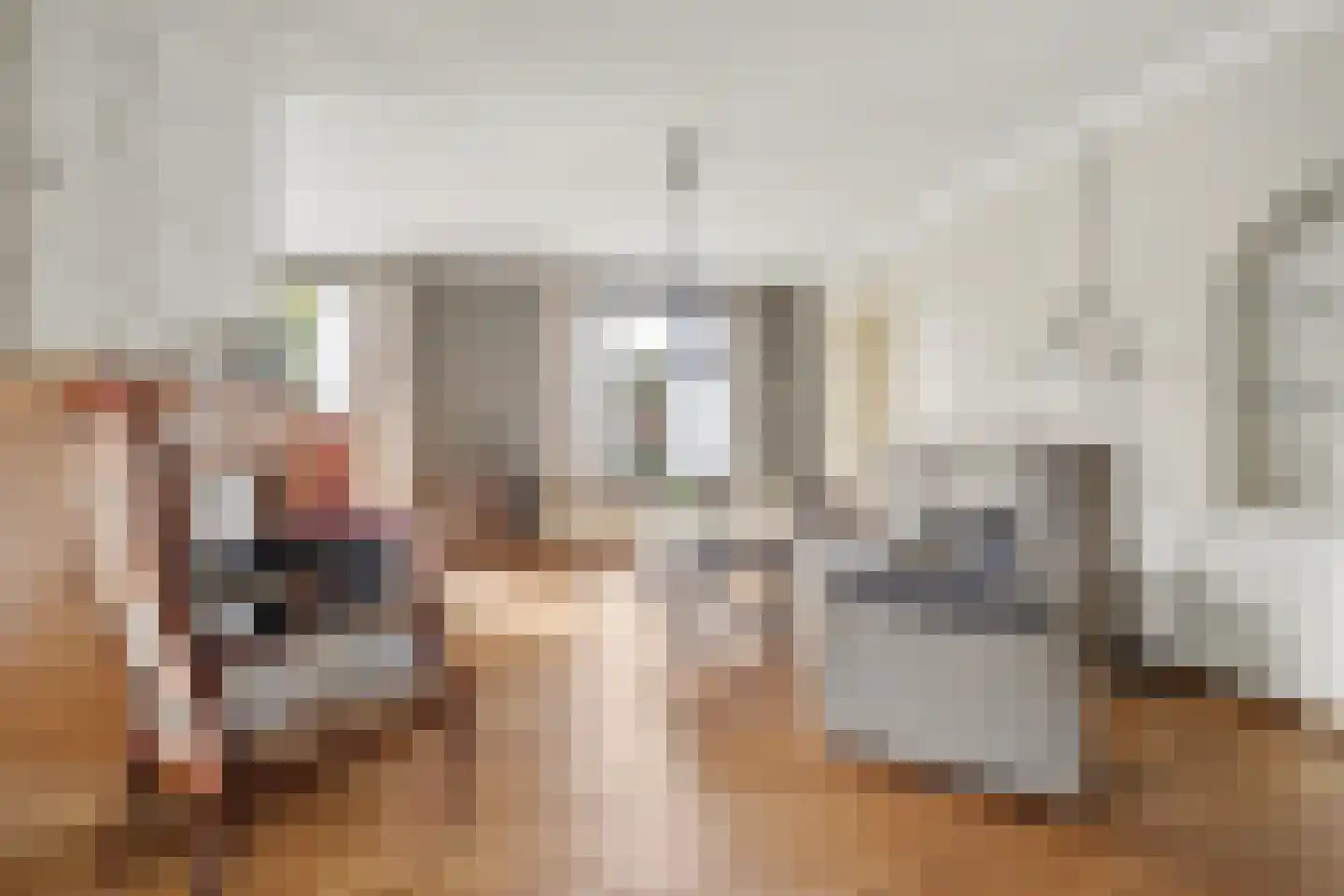 Achterstraat 6 Putte thumbnail 7