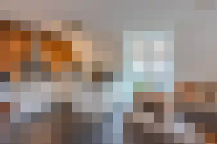 Achterstraat 6 Spijkenisse thumbnail 12