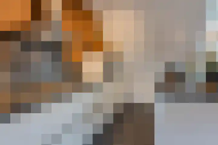 Achterstraat 6 Spijkenisse thumbnail 13