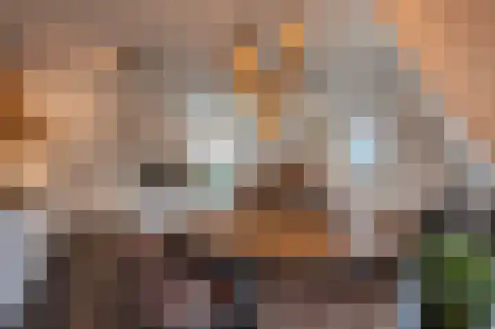 Achterstraat 6 Spijkenisse thumbnail 17