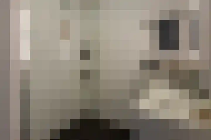 Achterstraat 6 Spijkenisse thumbnail 23