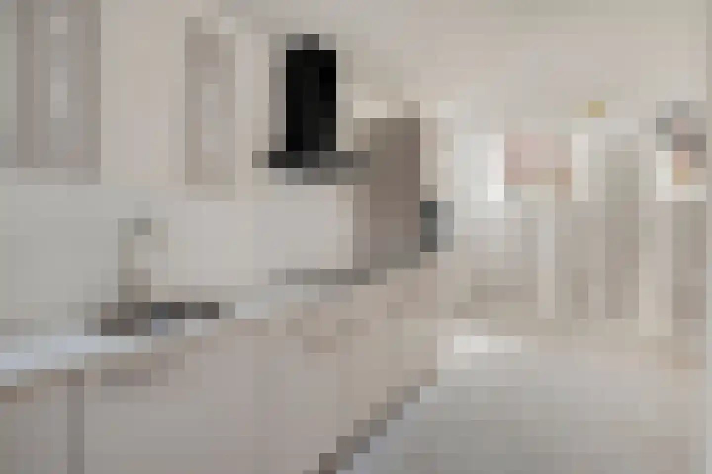 Achterstraat 6 Woerden thumbnail 9
