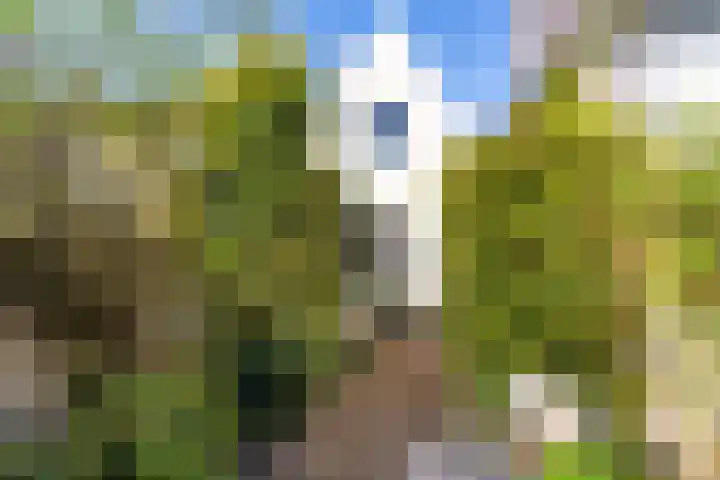 Achterstraat 69 Vianen thumbnail 23