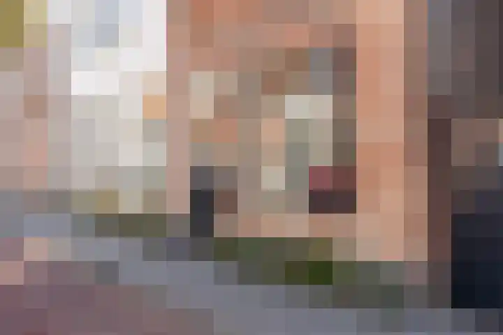 Achterstraat 69 Vianen thumbnail 28