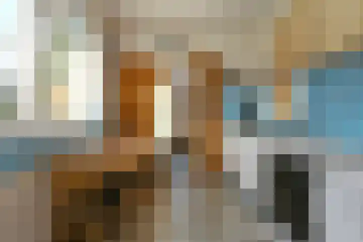 Achterstraat 8 a Diever thumbnail 14
