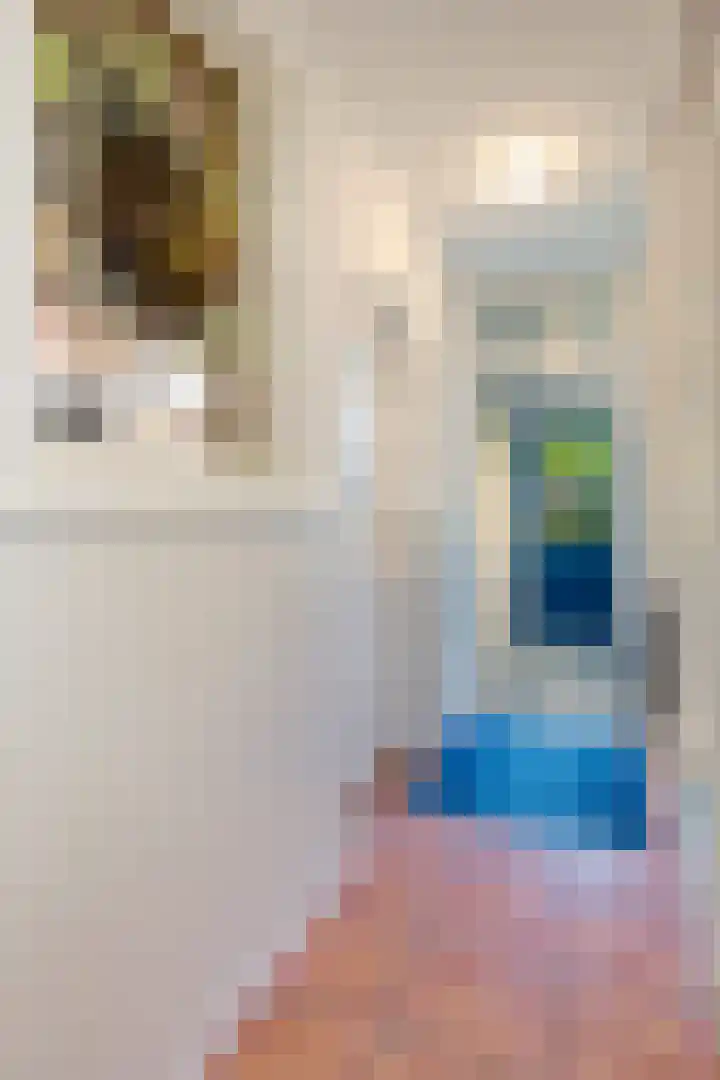 Achterstraat 8 a Diever thumbnail 21