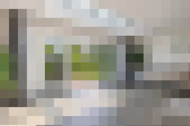 Achterstraat 8 a Diever thumbnail 6