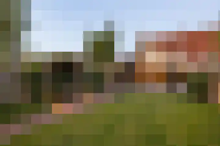 Achterstraat 86 Vianen thumbnail 100