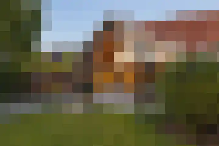 Achterstraat 86 Vianen thumbnail 101