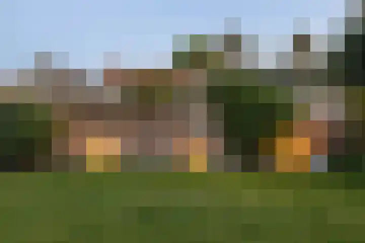 Achterstraat 86 Vianen thumbnail 108