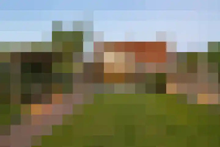 Achterstraat 86 Vianen thumbnail 109