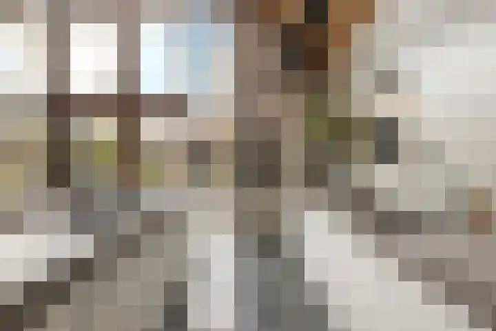 Achterstraat 86 Vianen thumbnail 16