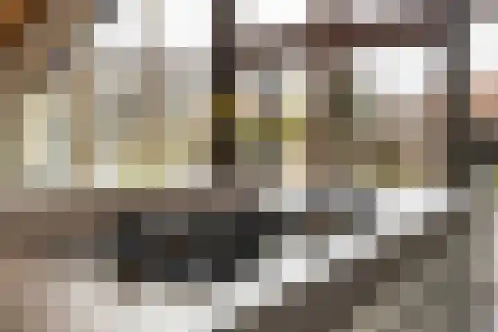 Achterstraat 86 Vianen thumbnail 20