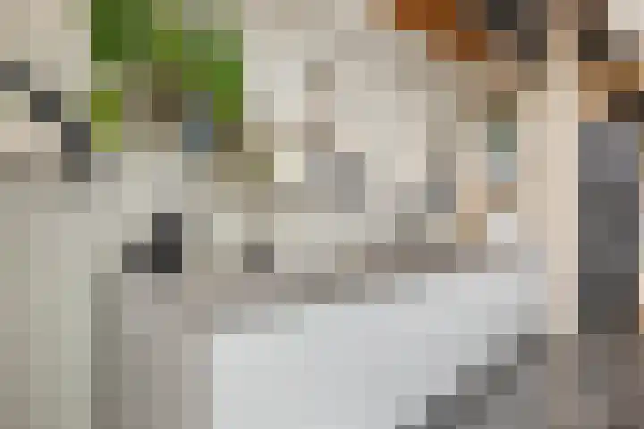 Achterstraat 86 Vianen thumbnail 22