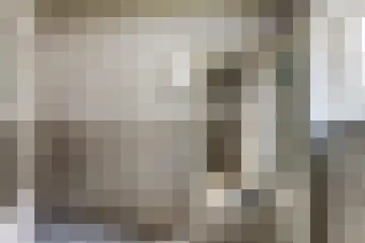 Achterstraat 9 Asperen thumbnail 17