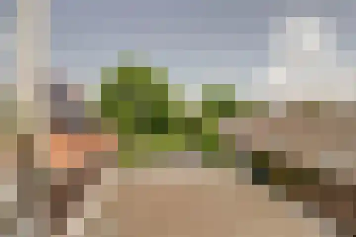 Achterstraat 9 Asperen thumbnail 30