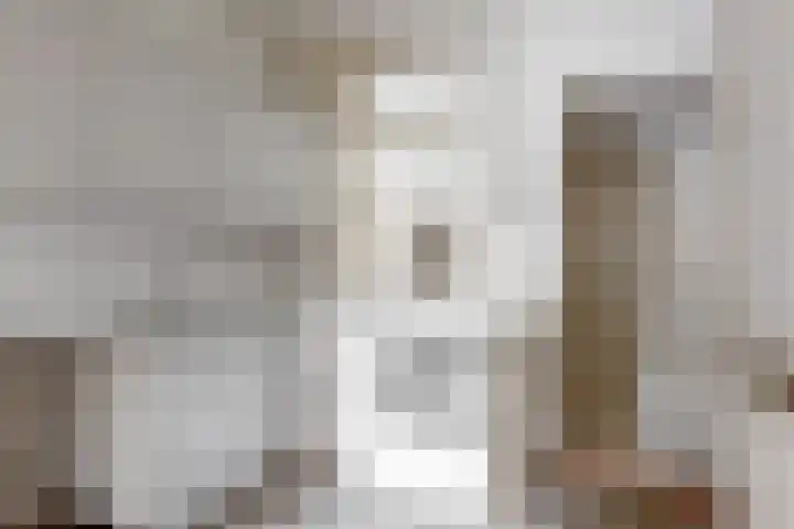 Achterstraat 9 Heteren thumbnail 10