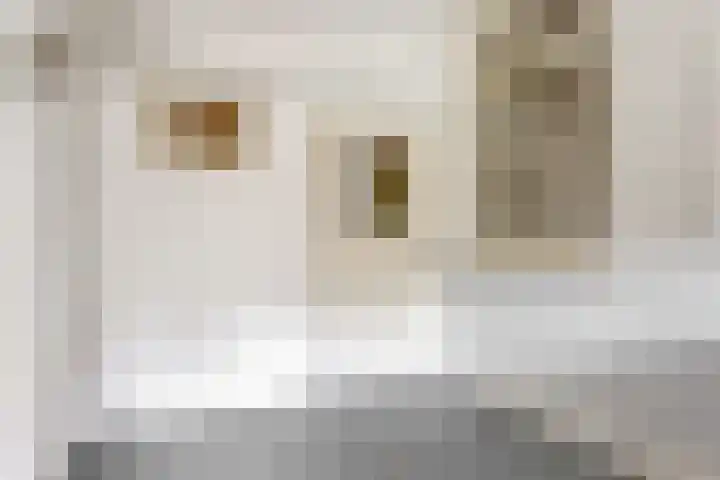 Achterstraat 9 Heteren thumbnail 14