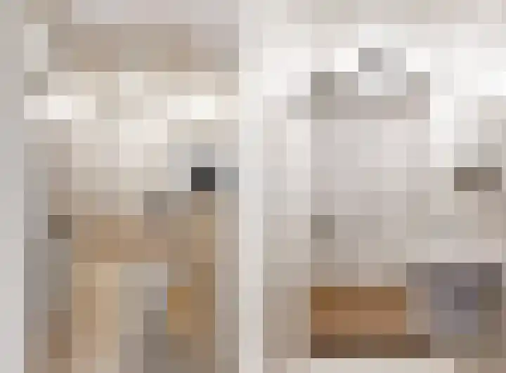 Achterstraat 9 Heteren thumbnail 15