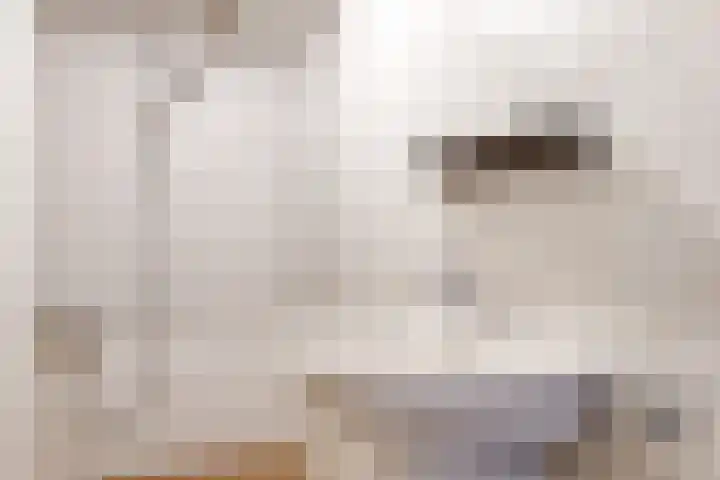Achterstraat 9 Heteren thumbnail 16