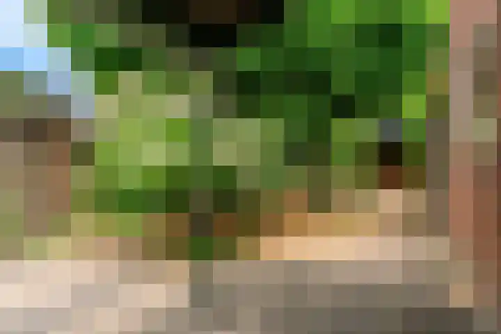 Achterstraat 9 Heteren thumbnail 26