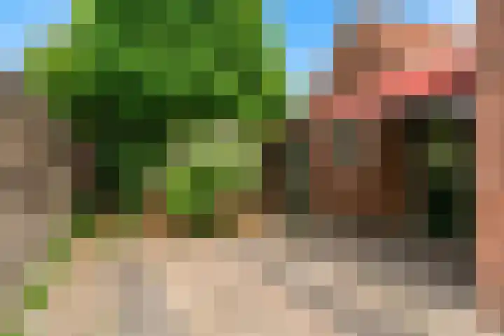 Achterstraat 9 Heteren thumbnail 28