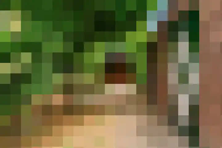 Achterstraat 9 Heteren thumbnail 30