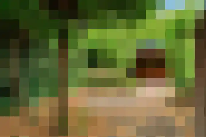 Achterstraat 9 Heteren thumbnail 31