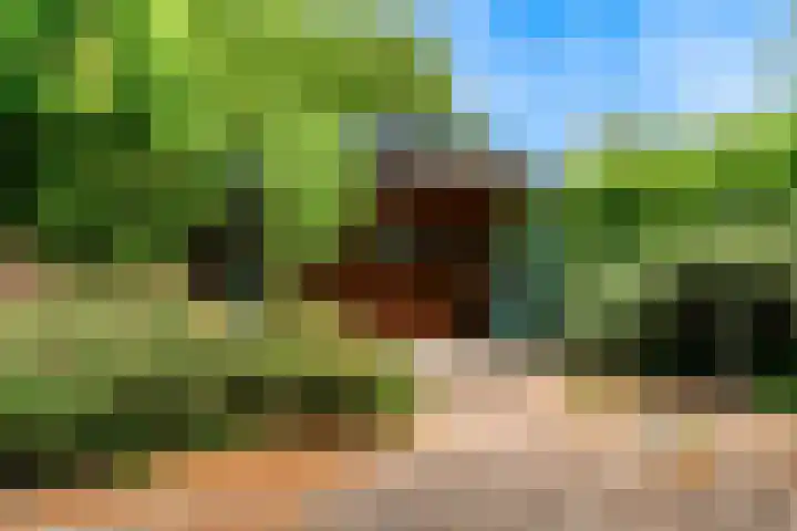 Achterstraat 9 Heteren thumbnail 33