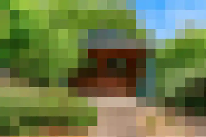 Achterstraat 9 Heteren thumbnail 34