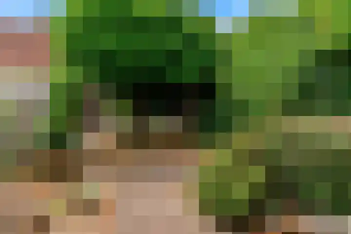 Achterstraat 9 Heteren thumbnail 35