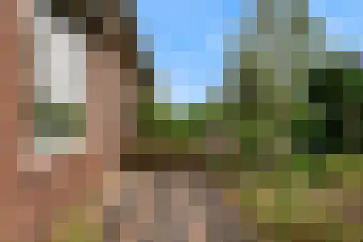 Achterstraat 9 Heteren thumbnail 37
