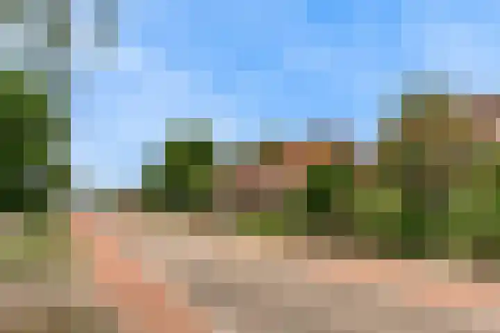 Achterstraat 9 Heteren thumbnail 42