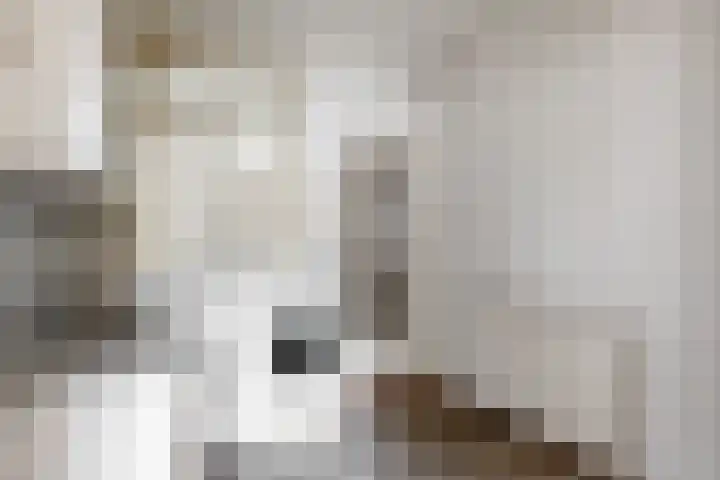 Achterstraat 9 Heteren thumbnail 9