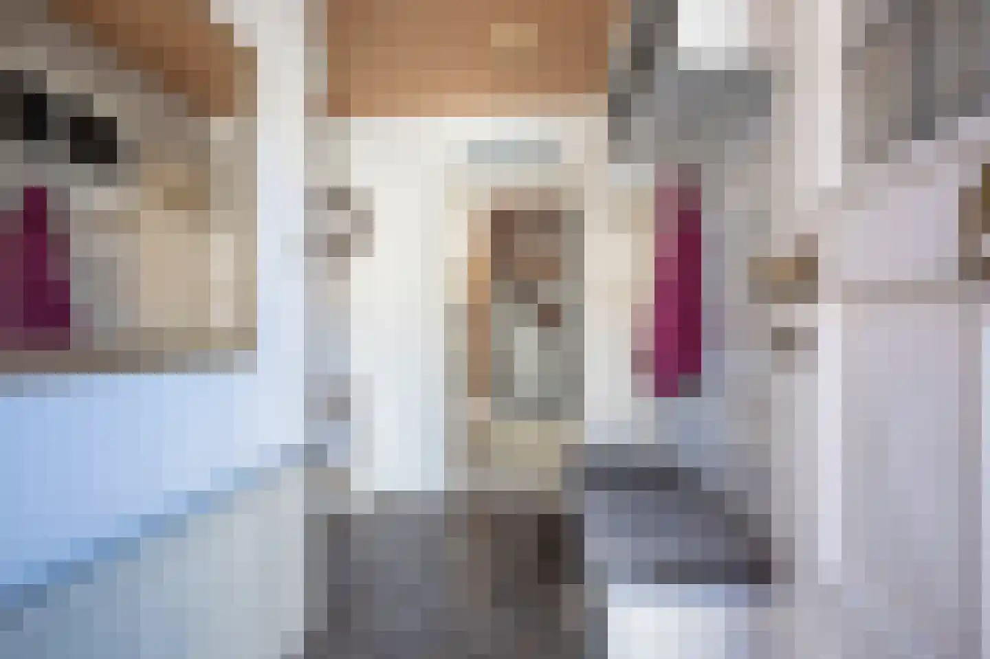 Achterstraat 9 Landgraaf thumbnail 9