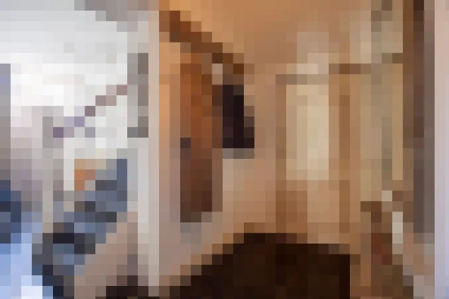 Achterstraat 9 Nieuw-Vossemeer thumbnail 12