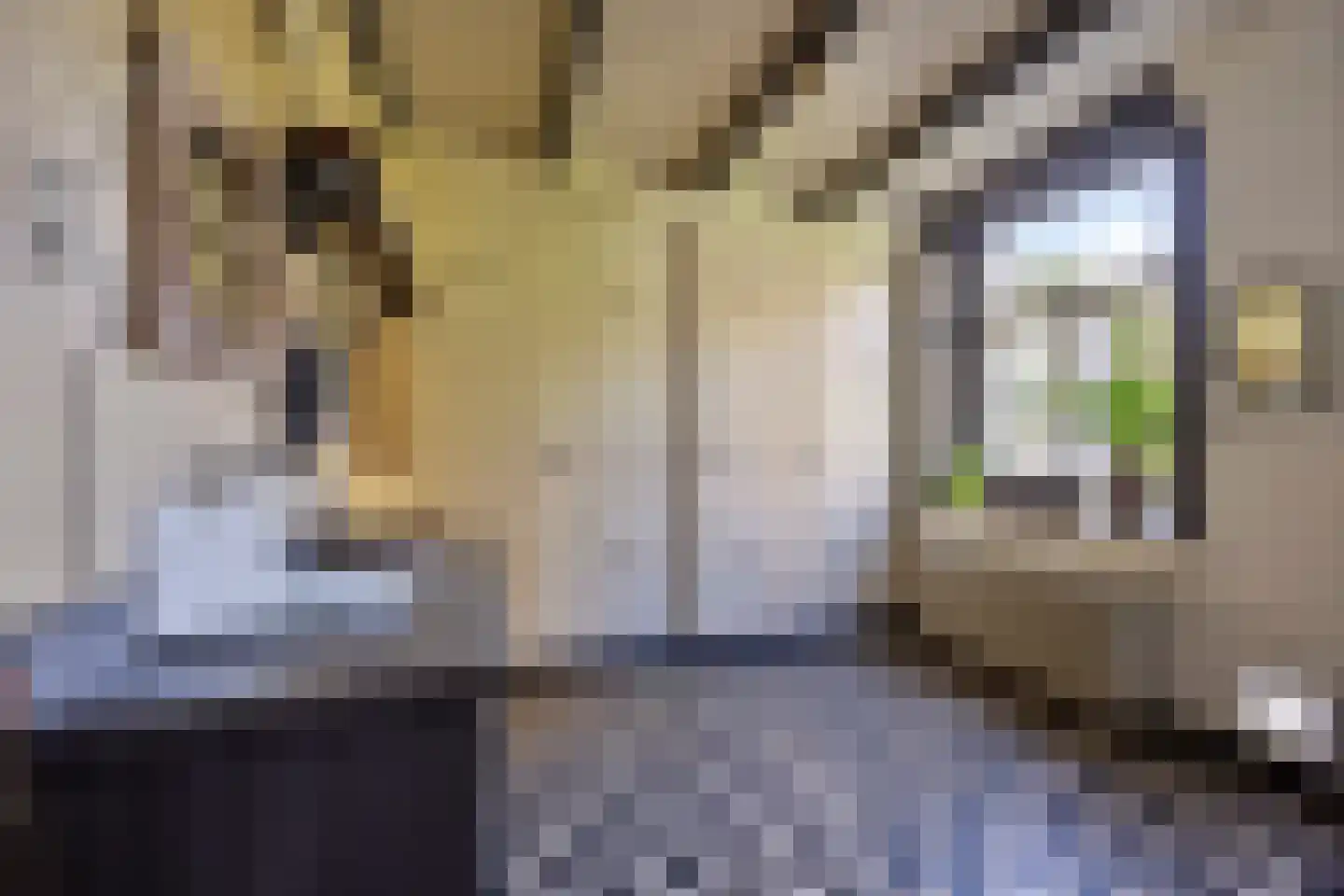 Achterstraat 9 Nieuw-Vossemeer thumbnail 21