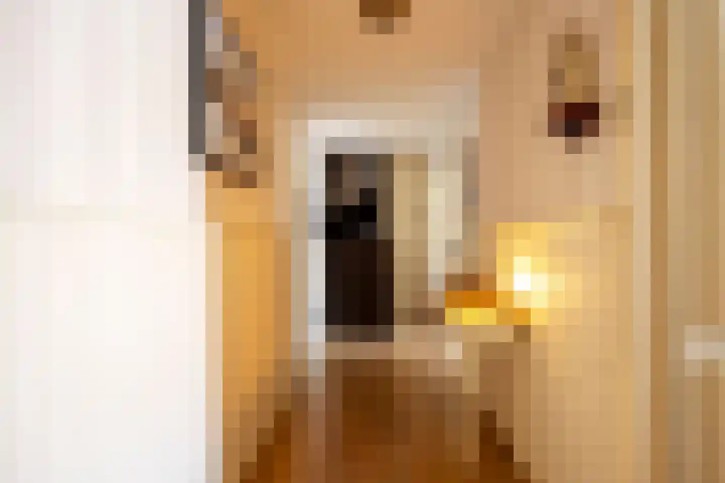 Achterstraat 9 Nieuw-Vossemeer thumbnail 23