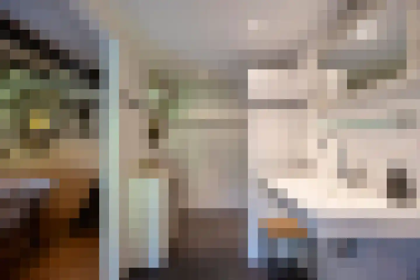 Achterstraat 9 Nieuw-Vossemeer thumbnail 28