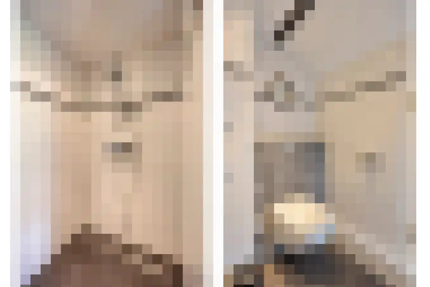 Achterstraat 9 Nieuw-Vossemeer thumbnail 30