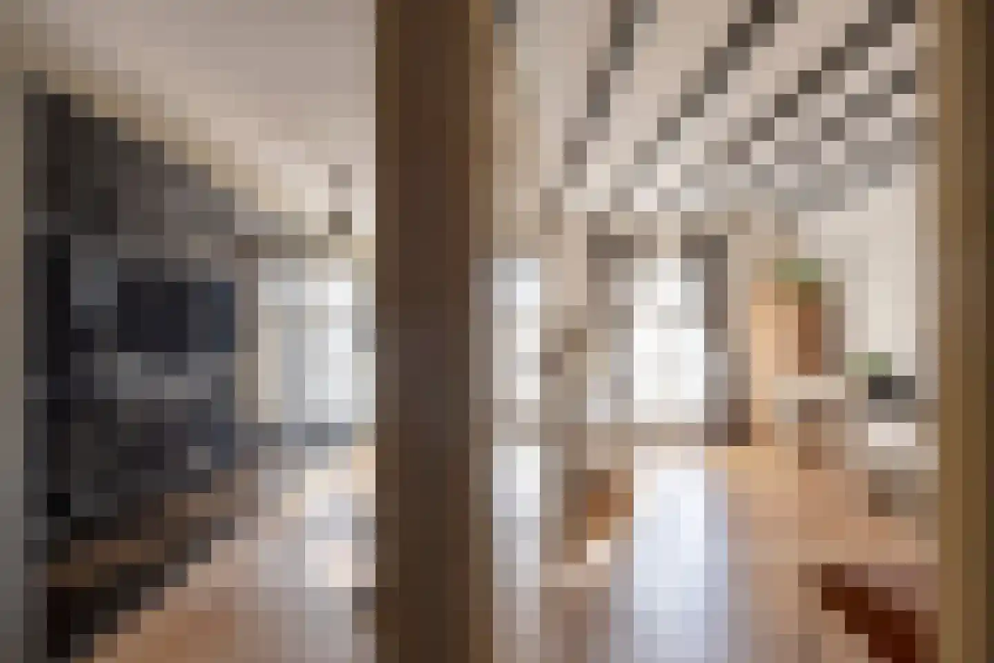 Achterstraat 9 Nieuw-Vossemeer thumbnail 32